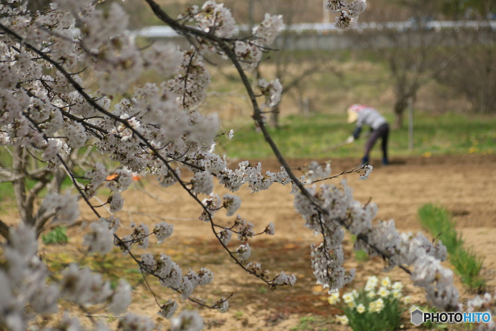 撮って出し-Canon EOS 6D-90.0-41_04_11-12