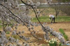 撮って出し-Canon EOS 6D-90.0-41_04_11-12