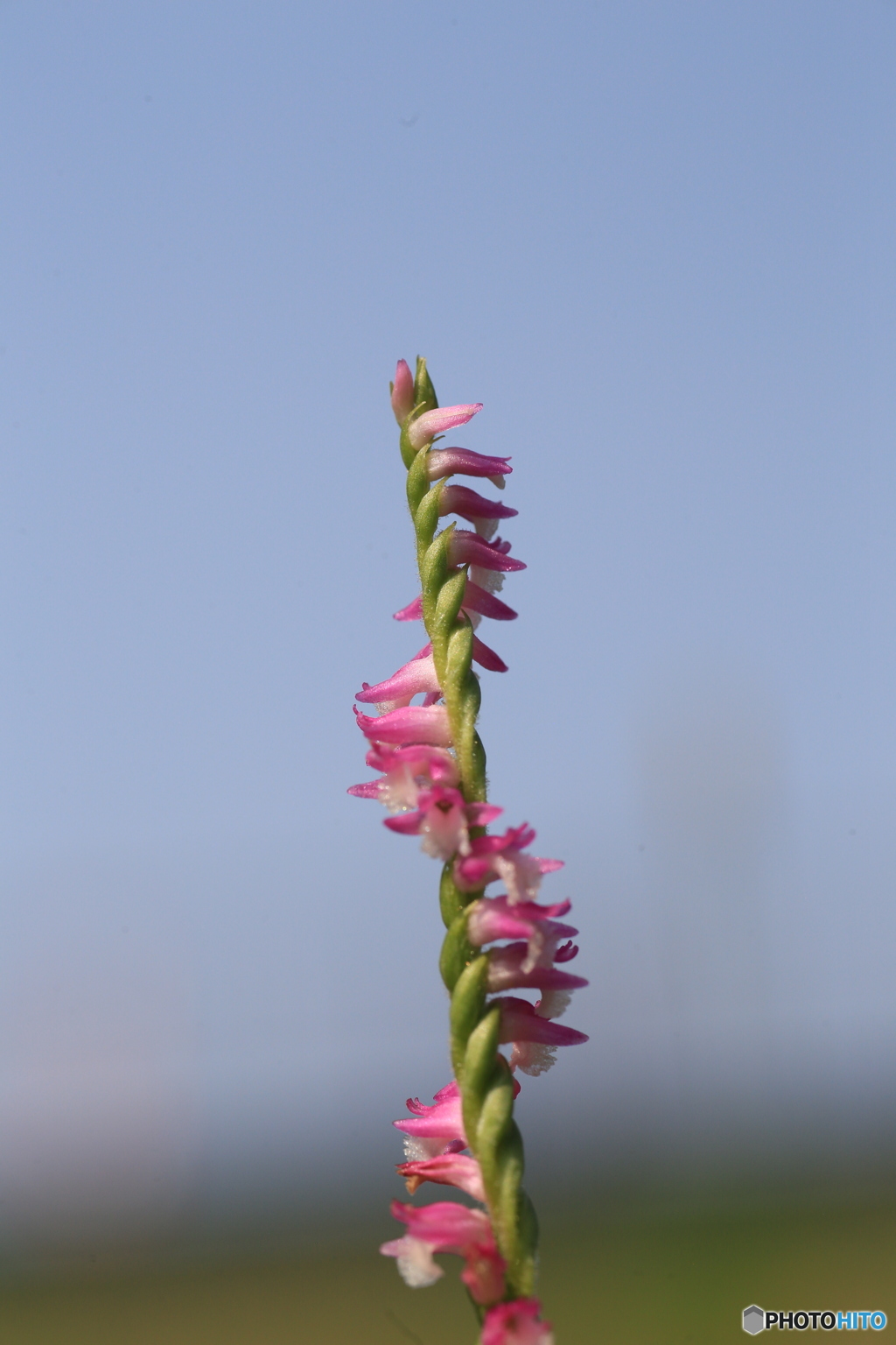 撮って出し(2024-07-16_14-50)-(Canon EOS 6D-90