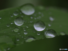 撮って出し(2024-07-25_16-29)-(E-M5-0())