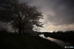 撮って出し(2024-04-18_19-20)-(Canon EOS 6D-0(