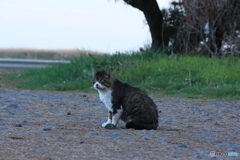 撮って出し(2024-04-22_18-08)-(Canon EOS 60D-1