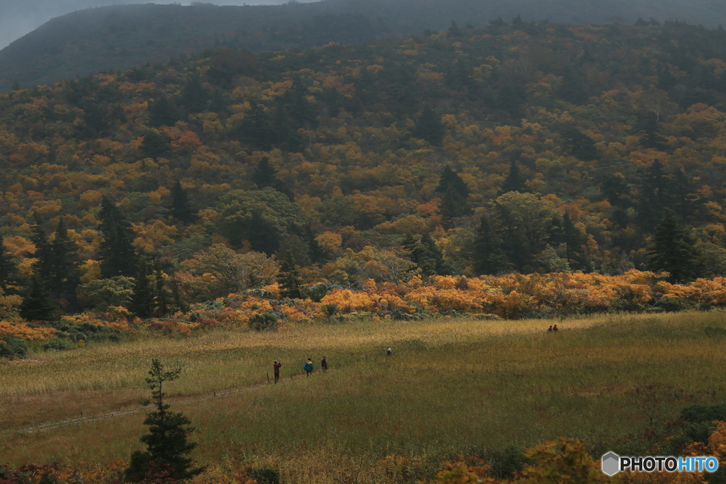 撮って出し-Canon EOS 6D-105.0-23_10_16_IMG_64