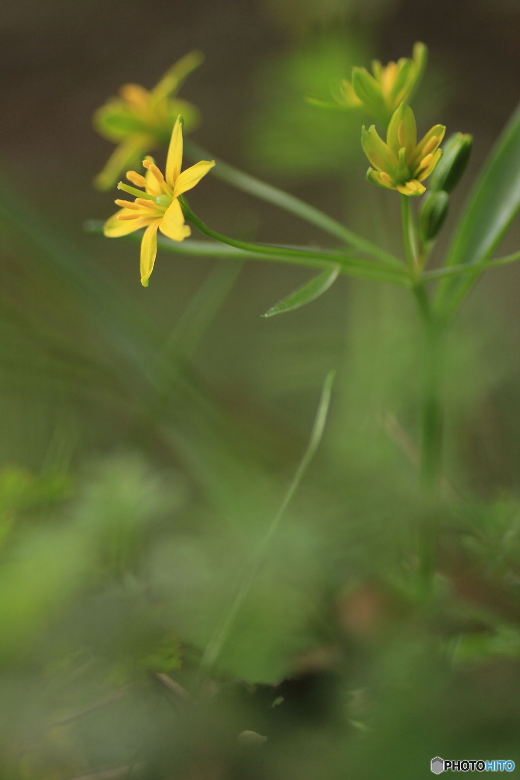 撮って出し(2025-04-06_09-09)-(Canon EOS 60D-9