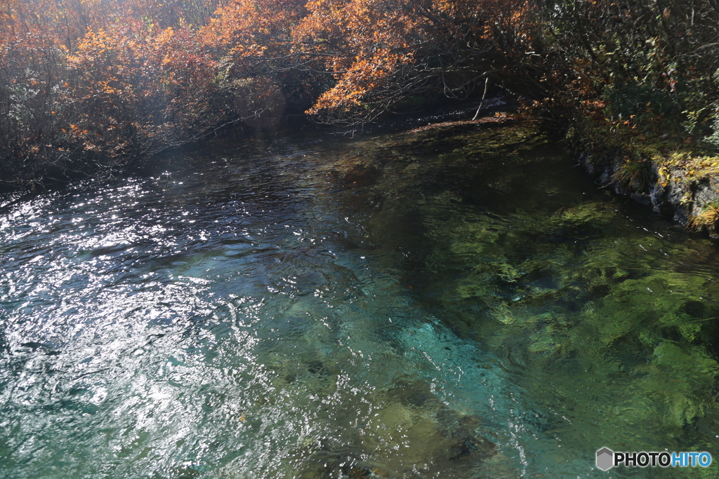 撮って出し(2025-11-04_10-07)-(Canon EOS 6D-28