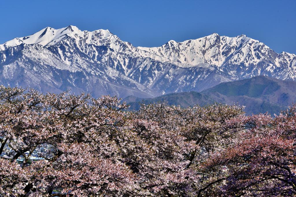 鹿島槍ヶ岳