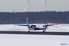 ボンちゃん Landing