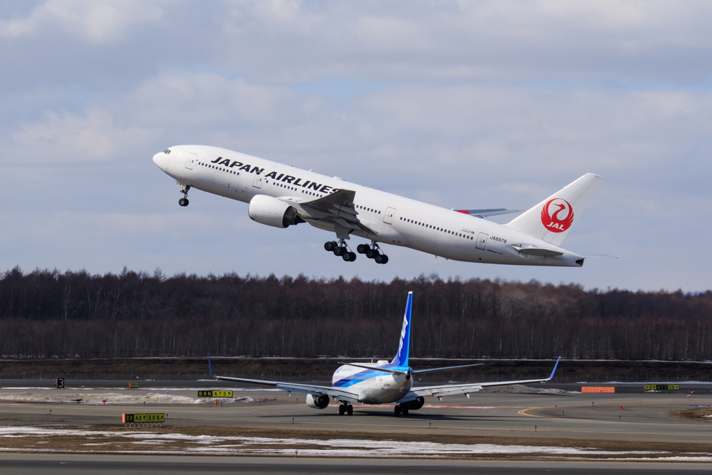 JAL Takeoff