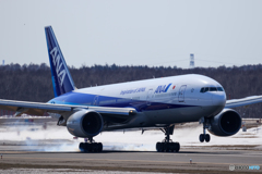 ANA Landing