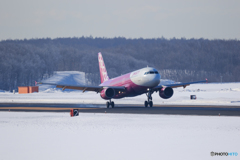 peach Landing