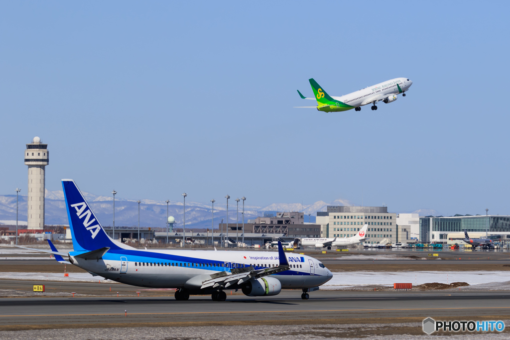 ANAとSPRING