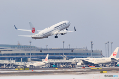 JAL TakeOff