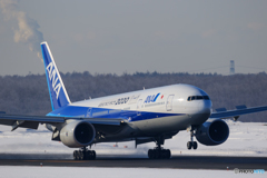 ANA777 Landing