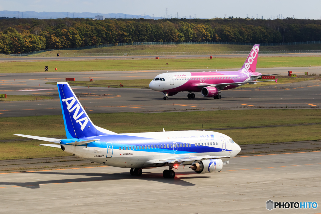 ドルフィンとピーチ