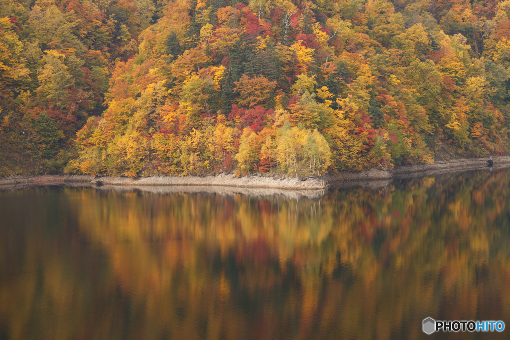 札幌湖の紅葉Ⅱ