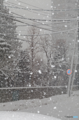 雪の朝