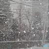 雪の朝