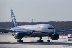 ANA777 Landing