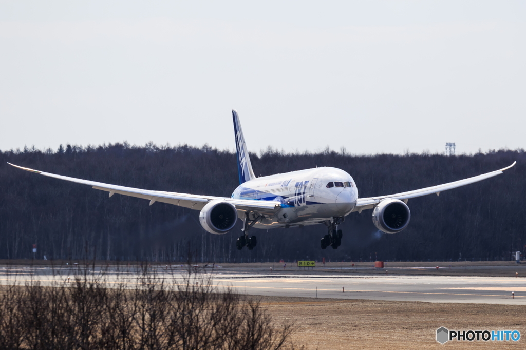 ANA 787
