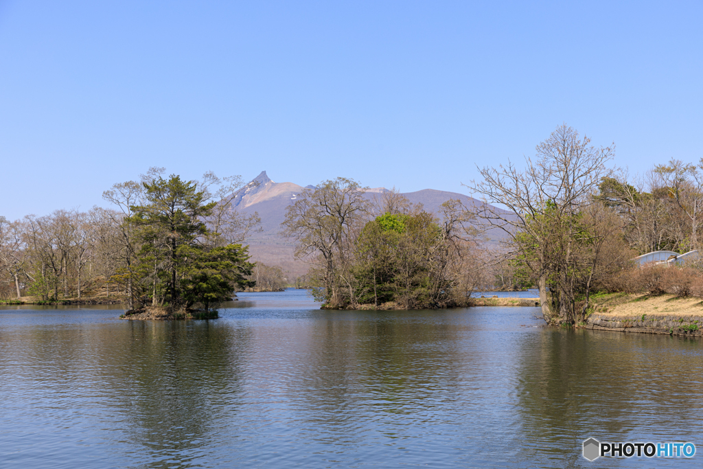 大沼公園