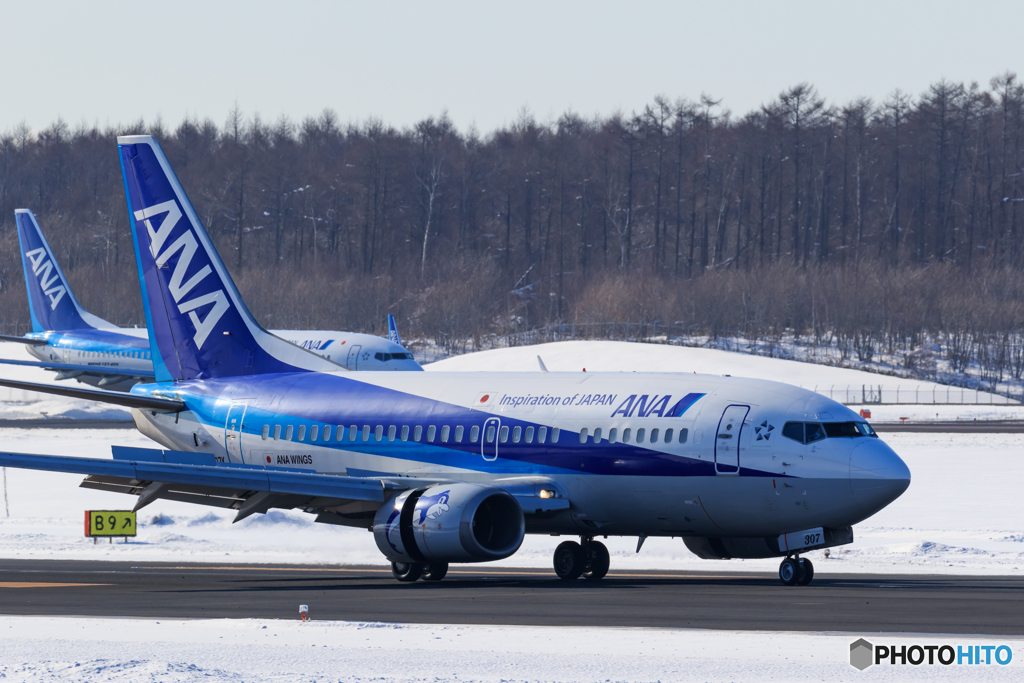 ANA B737
