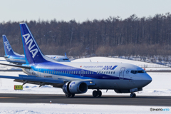 ANA B737