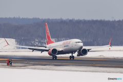 737 MAX8 Landing