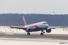peach Landing