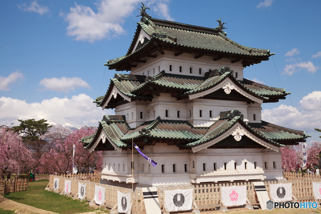 弘前城の桜Ⅱ