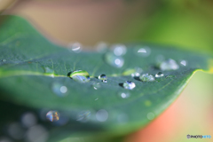 雨上がり