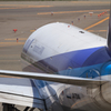 ANA B777