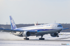 ANA777 Landing