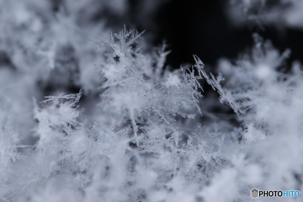 雪