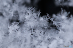 雪