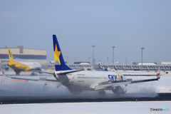 SKYMARK Landing