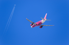 上空にも!