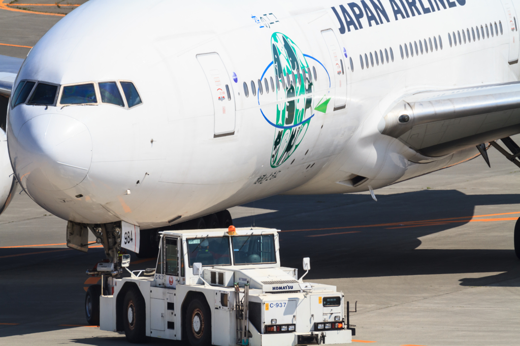 空のエコ