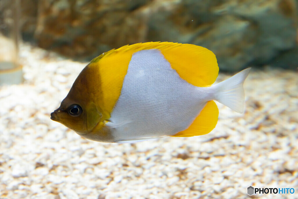 水族館６
