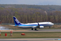 ANA737 Landing