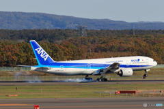 ANA Landing