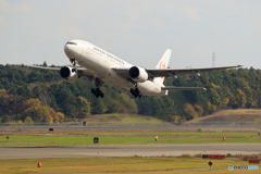 JAL TakeOff