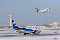 ANAとSKYMARK