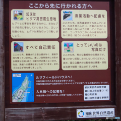 知床半島２