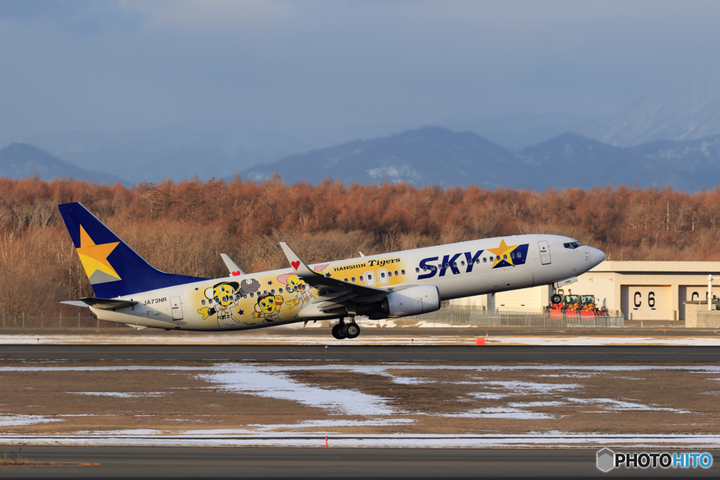 HANSHIN Tigers TakeOff