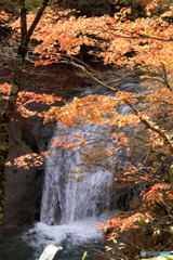 黄葉の滝