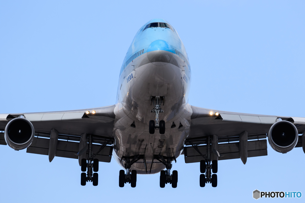 KOREAN Jumbo