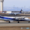ボンちゃん到着