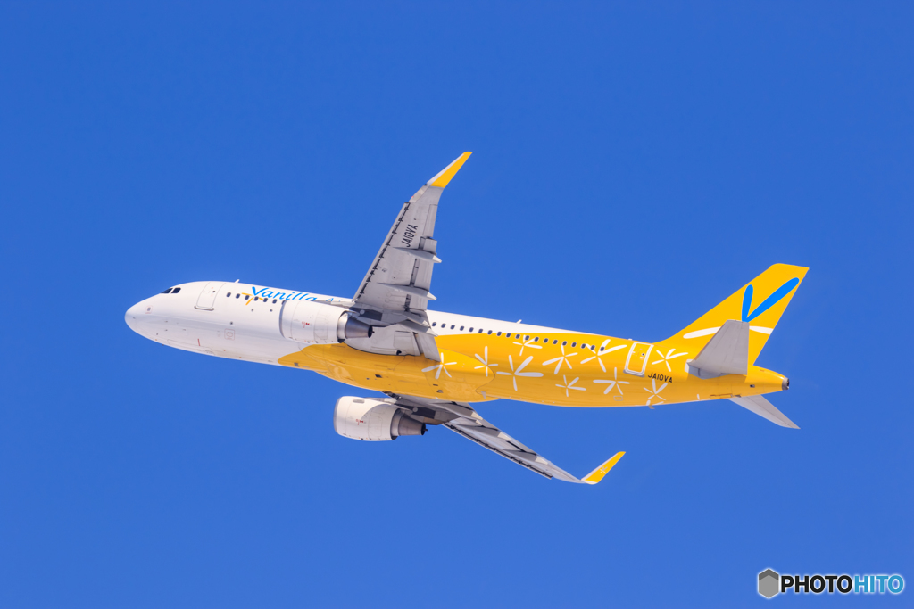 雪レフに照らされ(6)