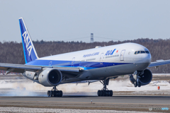 ANA777Landing