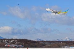 AIR DO と Jetstar と 鳶?